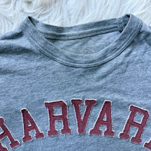 Vintage Y2K Style Harvard Heather Gray T-Shirt Slubby Slouchy Patches Collegiate - Picture 4 of 10